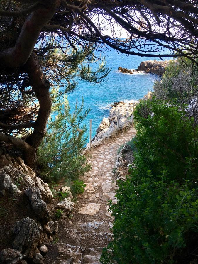 Artistic Antibes Apartment Dış mekan fotoğraf