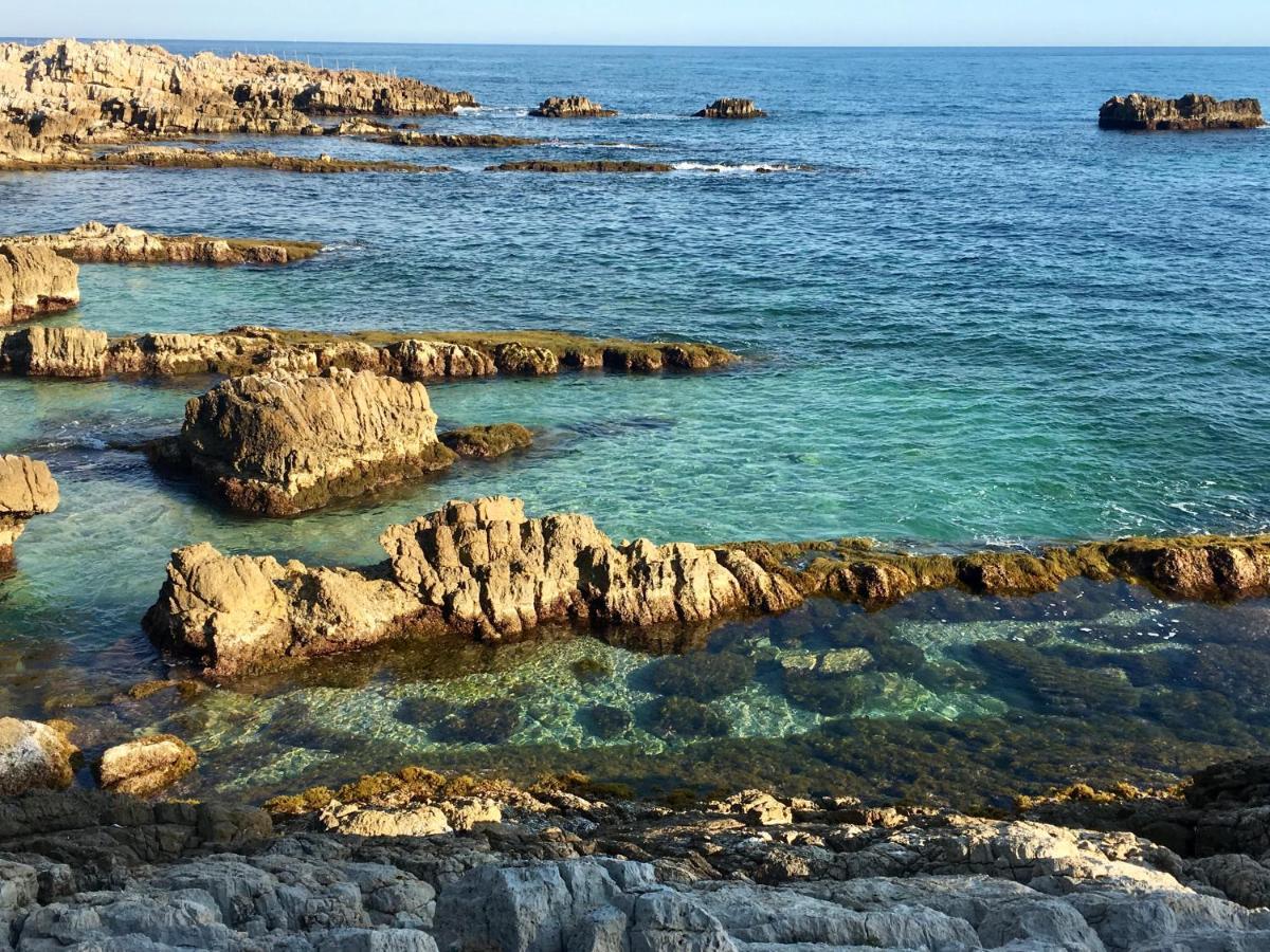 Artistic Antibes Apartment Dış mekan fotoğraf